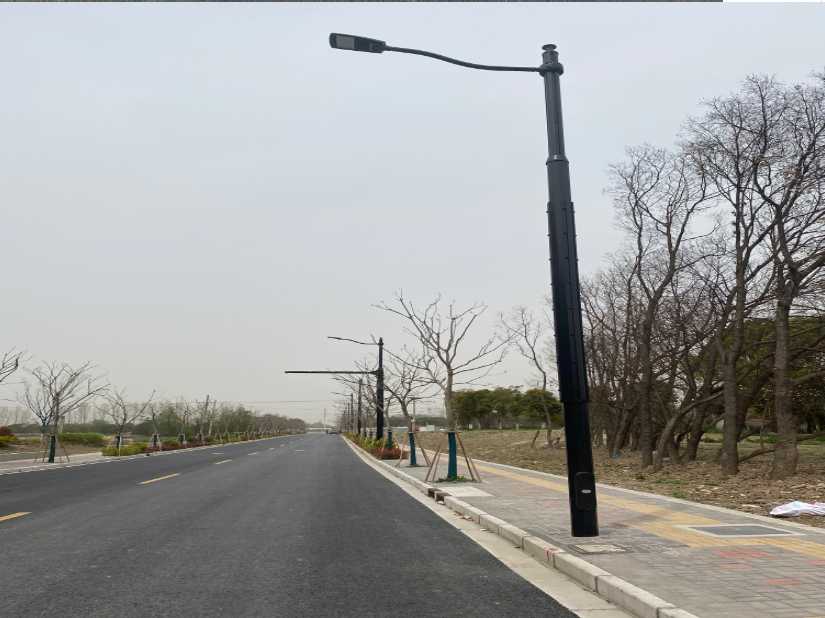 曲麻莱县上海综合杆 太阳能路灯工程